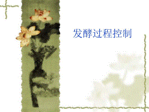 车间发酵过程控制.ppt