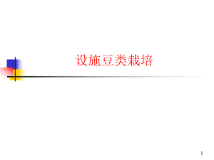 设施菜豆栽培1.ppt