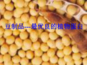 豆制品的营养价值.ppt