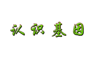 认识基因.ppt