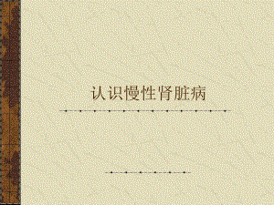认识慢性肾病ppt课件.pptx