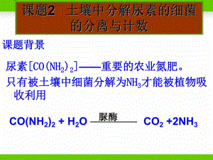 课题2土壤中分解尿素的细菌的分离与计数.ppt