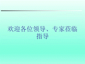 调度安全约束系统.ppt