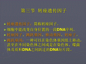 转座因子遗传课件.ppt