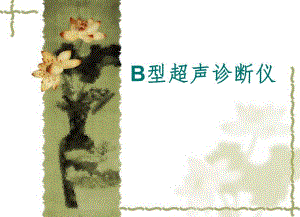 超声基础及临床应用.ppt