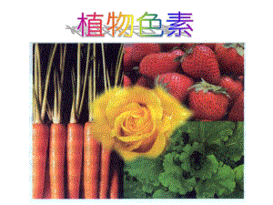 课题2胡萝卜素的提取.ppt