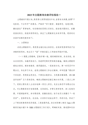 2023年主题教育自查评估报告一.docx
