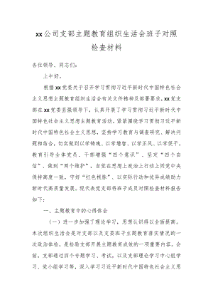 XX公司支部主题教育组织生活会班子对照检查材料.docx