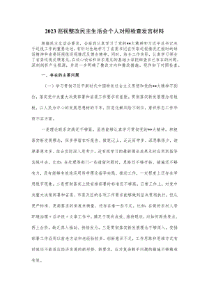 2023巡视整改民主生活会个人对照检查发言材料.docx