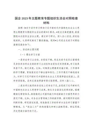 2023年主题教育专题民主生活会党员干部个人对照检查材料和发言提纲（精选两篇合辑）.docx