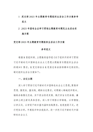 2023年主题教育专题组织生活会工作方案参考范文2篇.docx
