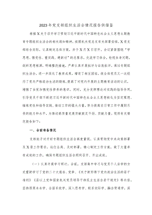 2023年党支部组织生活会情况报告供借鉴.docx