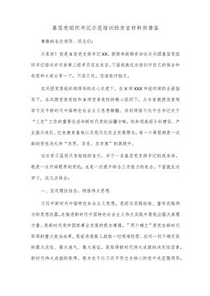 基层党组织书记示范培训班发言材料供借鉴.docx