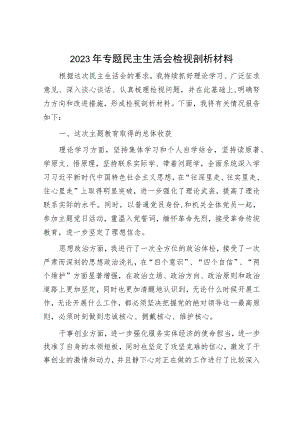 2023年主题教育专题民主生活会党员干部个人对照检查材料（精选两篇合辑）.docx