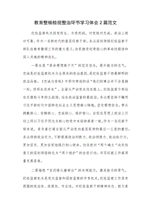 教育整顿检视整治环节学习体会2篇范文.docx