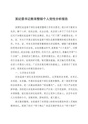 某纪委书记教育整顿个人党性分析报告 .docx