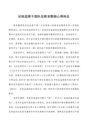 (7篇)监委主任2023全国纪检监察干部队伍教育整顿心得体会.docx