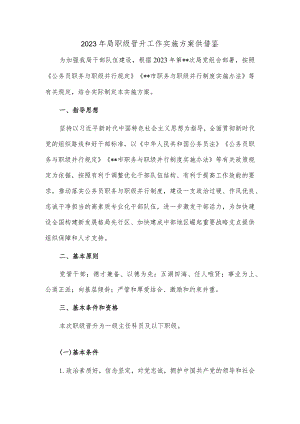 2023年局职级晋升工作实施方案供借鉴.docx