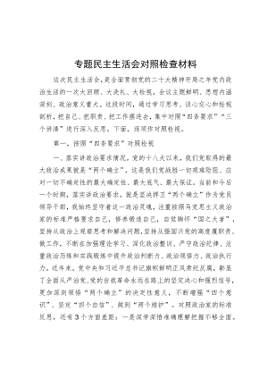 专题民主生活会对照检查材料.docx