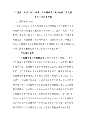 XX党委(党组)2023年第二批主题教育“先学先改”情况报告及下步工作打算.docx
