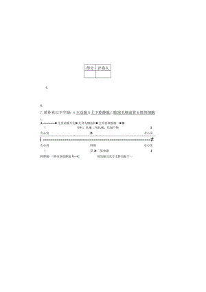 体育系体育教育本科专业人体解剖学考试试卷参考答案.docx