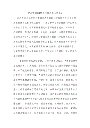 学习贯彻2023年主题教育心得体会.docx
