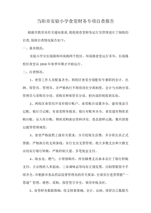当阳市实验小学食堂财务专项自查报告.docx