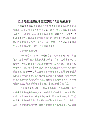 2023专题组织生活会支部班子对照检视材料.docx