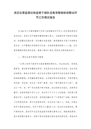 某区纪委监委纪检监察干部队伍教育整顿检视整治环节工作情况报告.docx