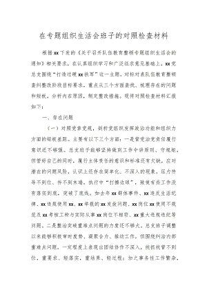 在专题组织生活会班子的对照检查材料.docx