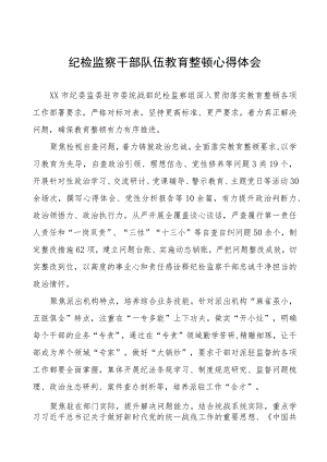 (7篇)纪委书记关于纪检监察干部队伍教育整顿的学习心得体会.docx