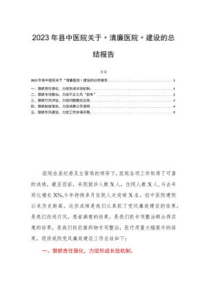 2023年县中医院关于“清廉医院”建设的总结报告.docx