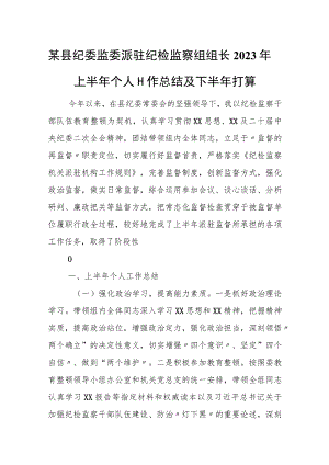 某县纪委监委派驻纪检监察组组长2023年上半年个人工作总结及下半年打算.docx