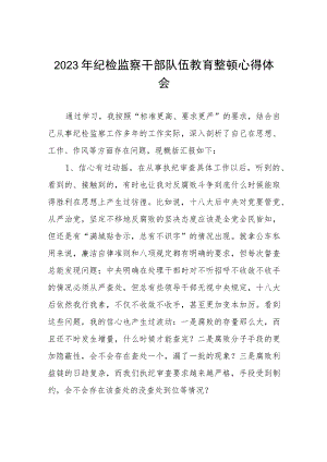2023纪检监察干部队伍教育整顿心得体会感悟(九篇).docx