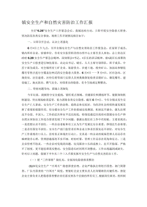 镇安全生产和自然灾害防治工作汇报.docx