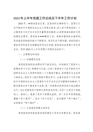 2023年上半年党建工作总结及下半年工作计划 (5).docx