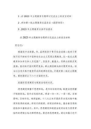在2023年主题教育专题研讨交流会上的发言材料和自查评估报告范文2篇.docx