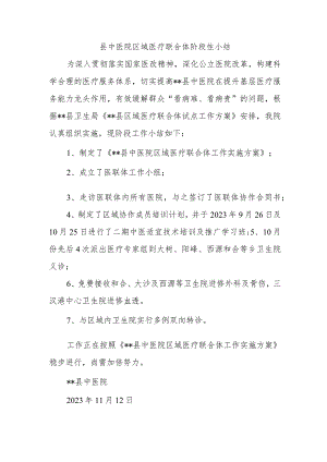 县中医院区域医疗联合体阶段性小结.docx