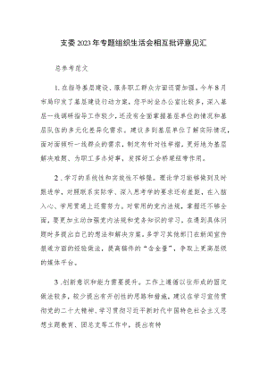 支委2023年专题组织生活会相互批评意见汇总参考范文.docx