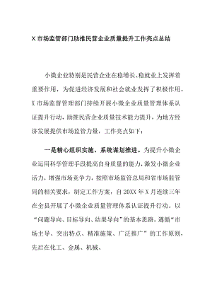 X市场监管部门助推民营企业质量提升工作亮点总结.docx