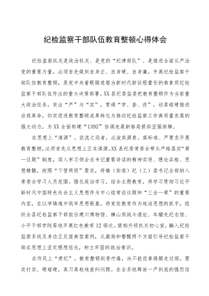 纪委书记关于2023全国纪检监察干部队伍教育整顿心得感悟(九篇).docx
