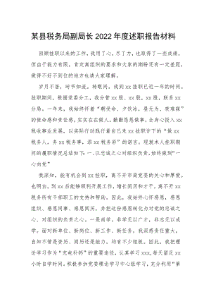 某县税务局副局长2022年度述职报告材料.docx