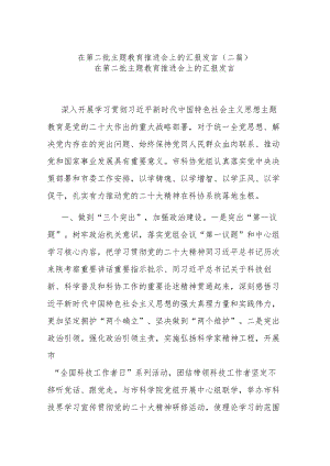 在第二批主题教育推进会上的汇报发言(二篇).docx