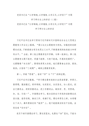 党委书记在“以学铸魂,以学增智,以学正风,以学促干”专题学习研讨会上的讲话(二篇).docx