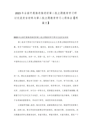 2023年全面开展推进推进好第二批主题教育学习研讨交流发言材料与第二批主题教育学习心得体会【两篇文】.docx