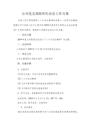 公司党支部组织生活会工作方案.docx
