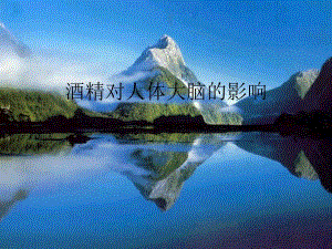 酒精对人体大脑的影响.ppt