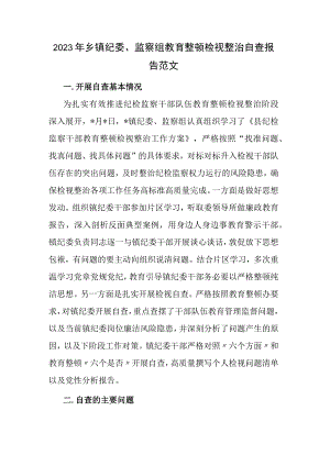 2023年乡镇纪委、监察组教育整顿检视整治自查报告范文.docx