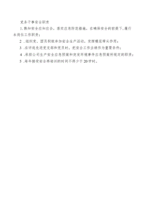 党务干事安全职责.docx