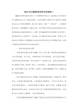 2023年主题教育党性分析报告一.docx